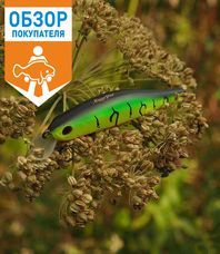 Читать обзор:Zipbaits Rigge 90SP