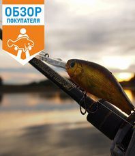 Читать обзор:Zipbaits B-Switcher 3.0: глубоководная моде…