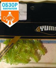 Читать обзор:Обзор силиконовой приманки yummy shrimpy